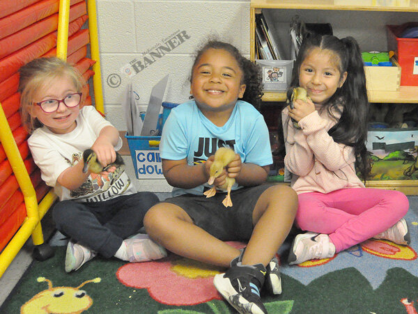 Pre-K students (L to R) Willow Pate, Kaison Kirby and Fernanda Hernandez hold ducklings they help raise in the classroom.