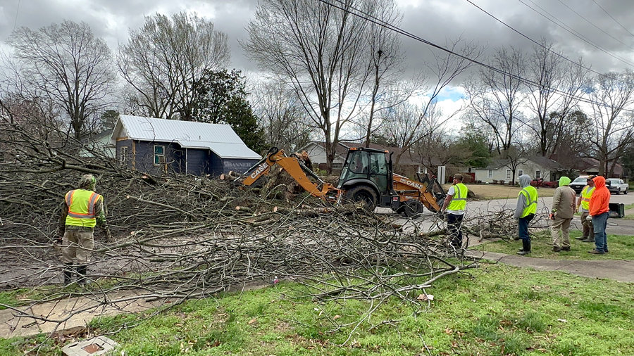 City of McKenzie employees work on removing an uprooted tree from Bailey Street.
