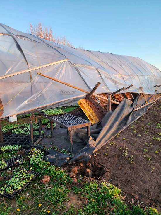 Greenhouse at Bell Family Farms sustained damage on Friday.