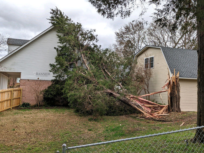 Above, Numerous trees snapped and fell on homes throughout the tri-county area.