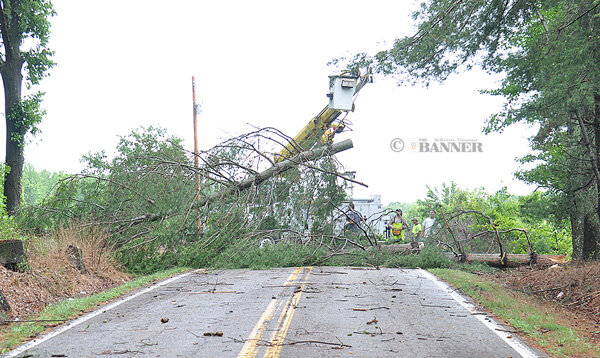 20260602-102027-446-web2-Christmasville-Downed-Trees-DSC_0008.jpg