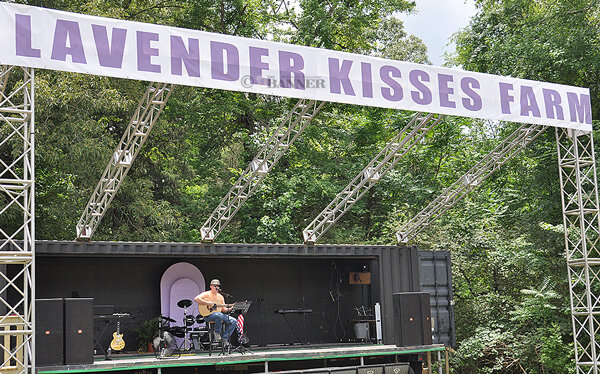 20260609-105310-633-web2-lavendar-Hammett-DSC_0006.jpg