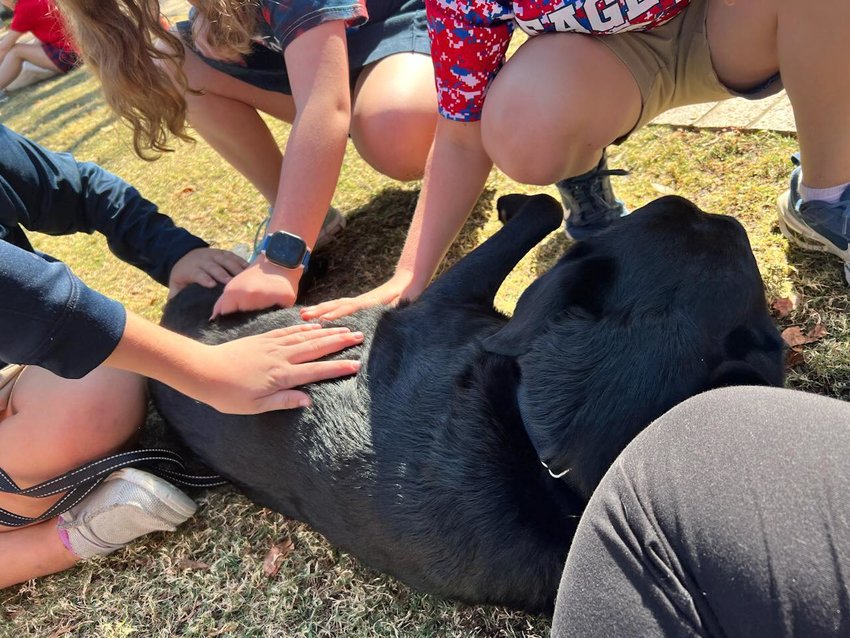 Hobbs now serves as a facility dog at T.R. Simmons Elementary School and is pictured enjoying some belly rubs from students.