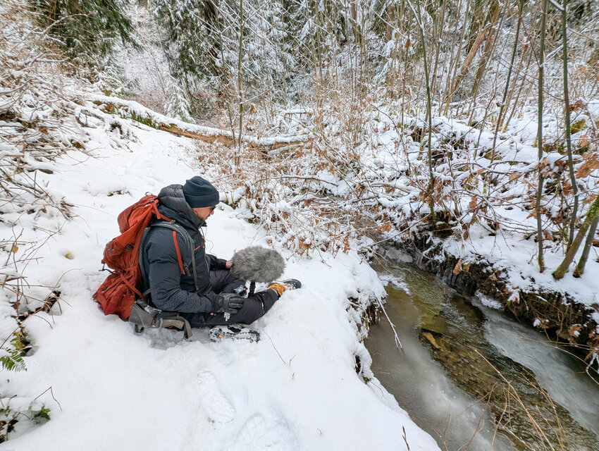 Spending a day focused on sound brought attention to just how rare it is to find a truly quiet place.