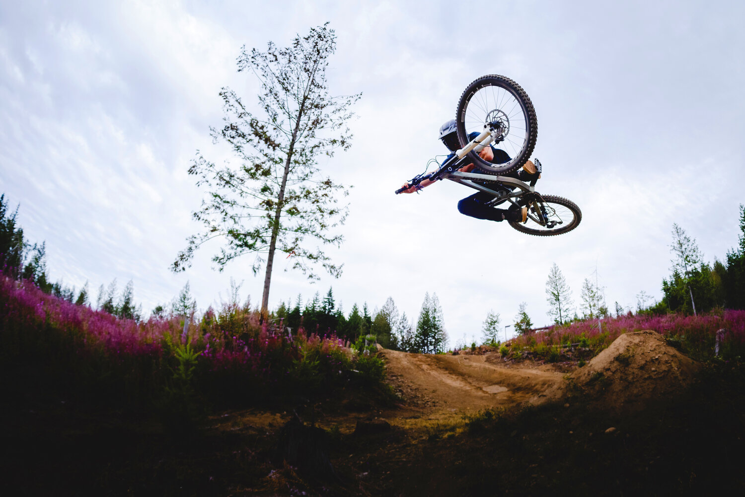 Talus Turk rolls over on Galbraith Mountain.