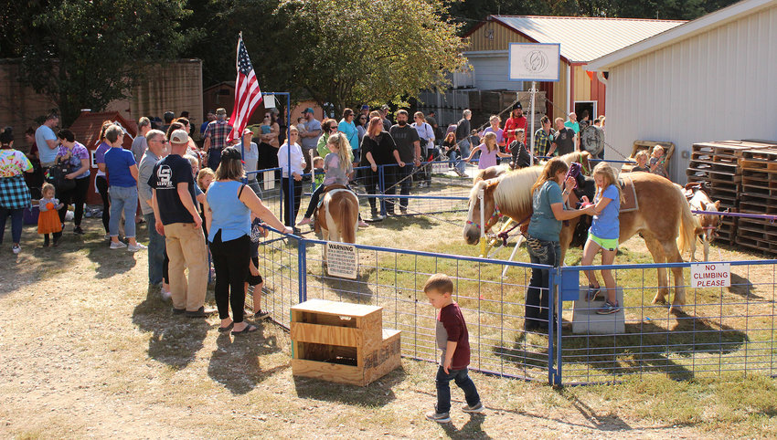 Many fun activities were available for families at the Small’s Fall Festival, a popular one being the pony rides.