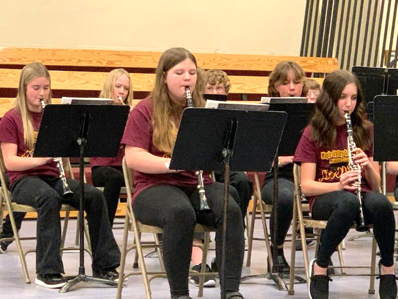 The seventh and eighth grade concert band played "Then Come the Heroes," "Those Clever Clarinets," and "Veterans Day Parade."