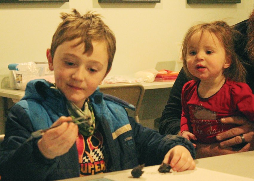Montgomry Gamblin dissected an owl pellet as his sister Konstance Gamblin watched during the Superb Owl event held at the Harrison County Iowa Welcome Center on Saturday, Feb. 11th.