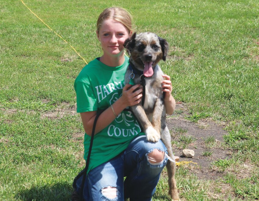 Lainey Cox and her mini America Shepherd, Trigger, participated in the 4-H Dog Show at the Little Willow Dog Park last Thursday.