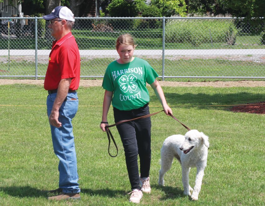 Raylyn Kurth walks her standard poodle, Moon, in the figure eight.