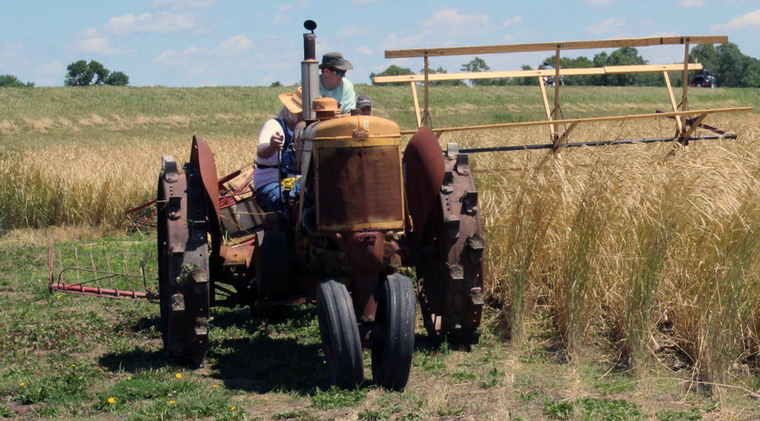 Charlie Wisecup, on a 1941 Minneapolis Moline U pulls a 75-year-old binder through cereal rye, operated by his grandson, Arthur Wisecup. They are preparing for a demonstration in September to commemorate 150 years of farming and harvesting in Missouri Valley.