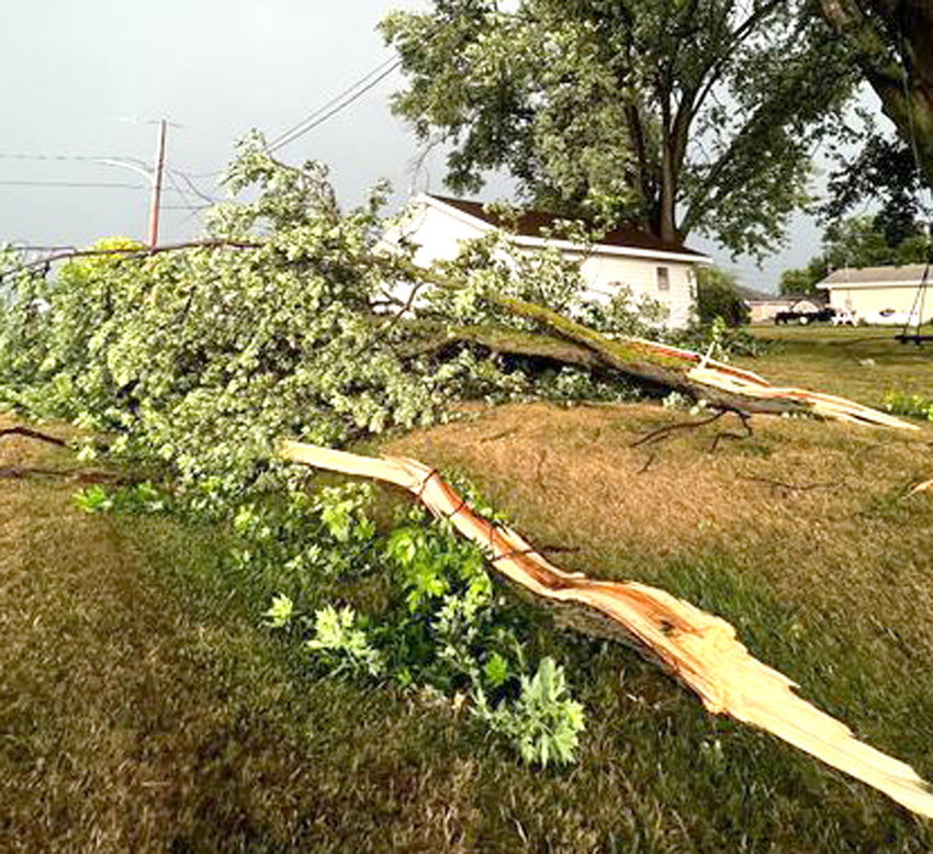 High wind gusts blew through Mondamin late Saturday evening, knocking down tree limbs throughout the community.  The National Weather Service in Valley, Nebraska, reported large trees down in Harrison County destroying two houses. The weather service says 70-miles-per-hour wind gusts two miles northwest of Little Sioux.