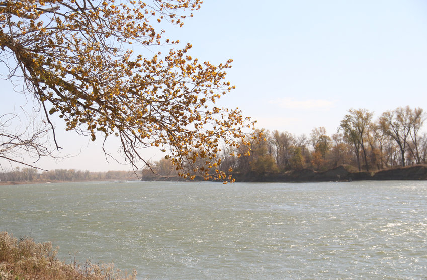 Yellow leaves hang over the Missouri River at DeSoto National Wildlife Refuge.