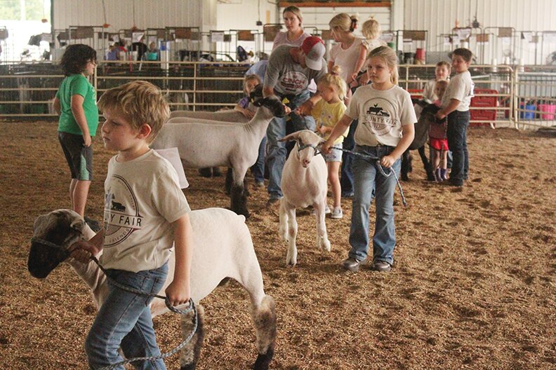 The Discovery sheep show took place at this year&rsquo;s 4 County Fair drawing in many young participants.
