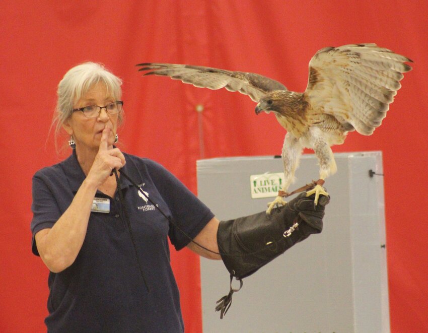 Fontenelle Forest guest speaker Dianne Guinn quiets Missouri Valley students as Jamaica, a red-tailed hawk, settles in on her hand.
