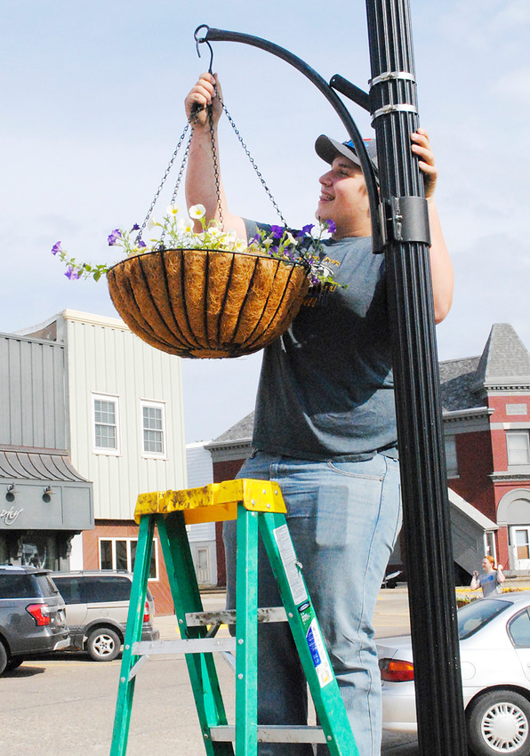 Wilton FFA students hung flower baskets throughout the downtown Wilton area on Friday, May 18. Pictured is Durant freshman Brian Graves hanging a basket along Cedar Street.