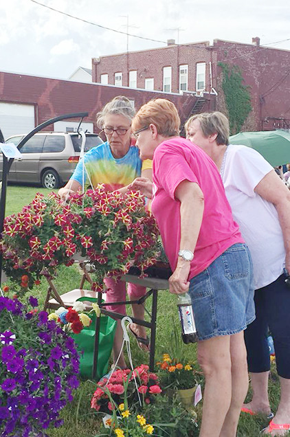 The Wilton Chamber of Commerce held its first weekly farmer&rsquo;s market in Elder Park on Thursday, May 31. Dozens of visitors enjoyed music, food, shopping and kids' activities provided by the Boy Scouts, 4-H club, Muscatine County Extension, Girl Scouts and the Wilton Fine Arts Guild. Shown above are residents shopping from vendors.