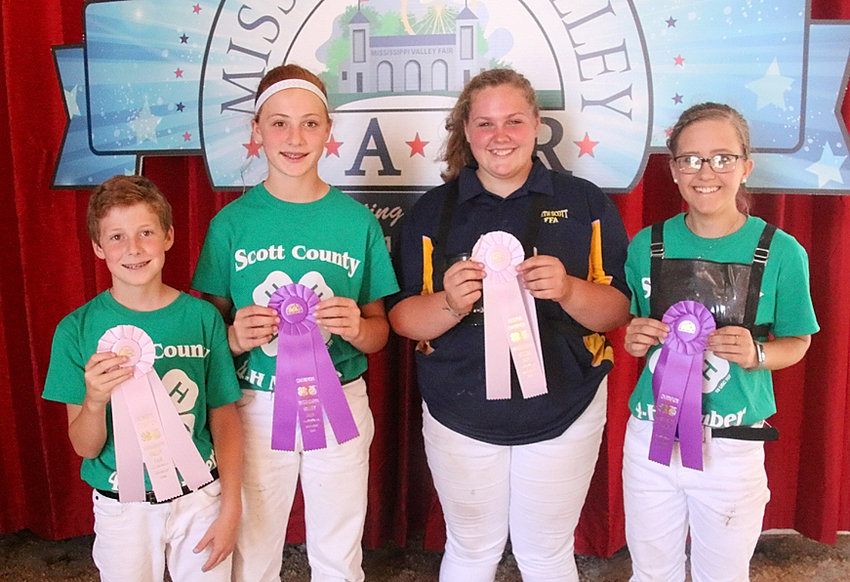These 4-H'ers took home top Showmanship honors in the Dairy Show. From left: Sean Blake (Jr. Reserve), Sarah Blake (Jr. Champion), Maddy Costello (Sr. Reserve) and Kyrnan Liske-Rochholz (Sr. Champion).