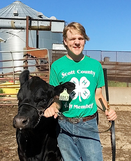 BREEDING BEEF: James Hepler showed the Reserve Champion 2nd-year Bucket Calf in the Breeding Beef show.