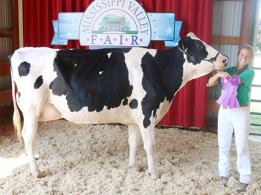 Natalie Knepper showed the Supreme Champion Overall Female in the 4-H Dairy Show with this Champion Holstein. She also showed the Reserve Champion Holstein.