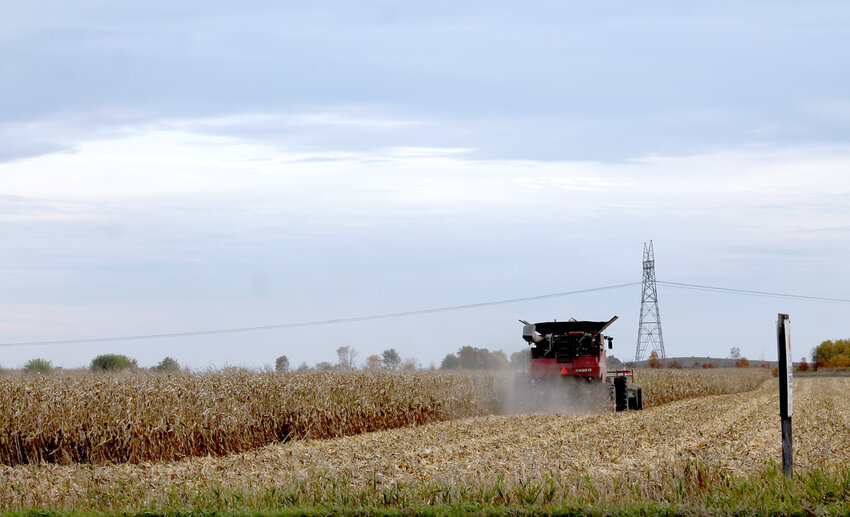 A combine clears corn in Muscatine County last week.
