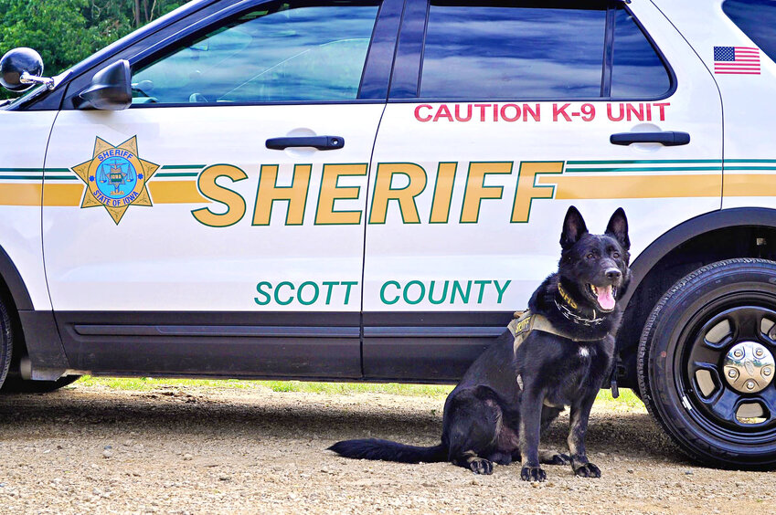 A photo of Spike on duty.