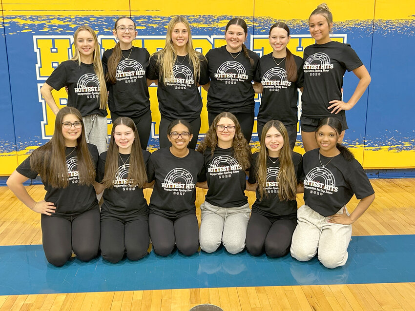 The Wilton Stepperettes