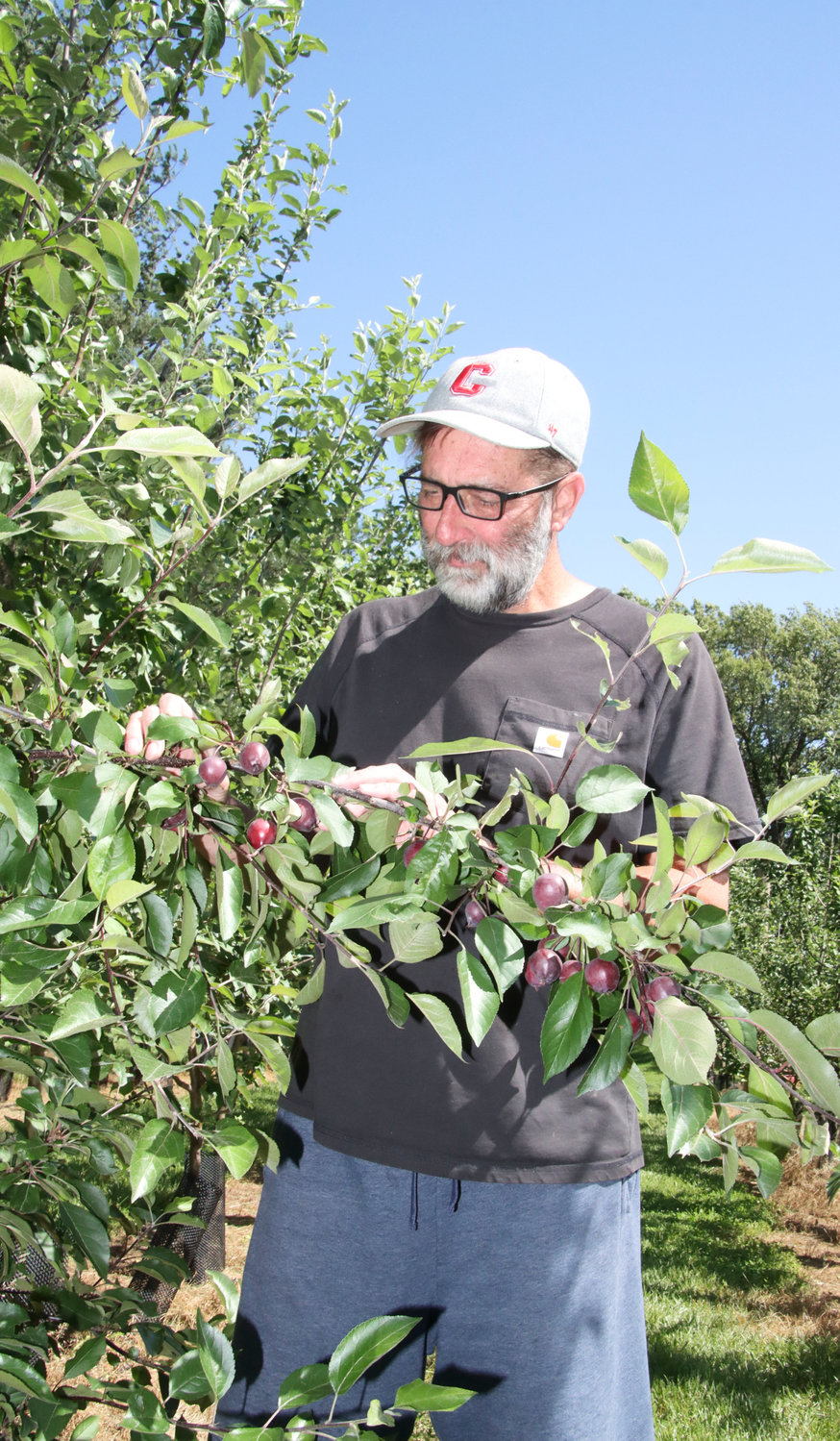 John and Dianna Romanick started Bridgehouse Cider in 2020. John planted 14 trees in 2019, and in 2020, during Covid, he planted an additional 150 trees. The orchard has now expanded to nearly 1,000 trees.