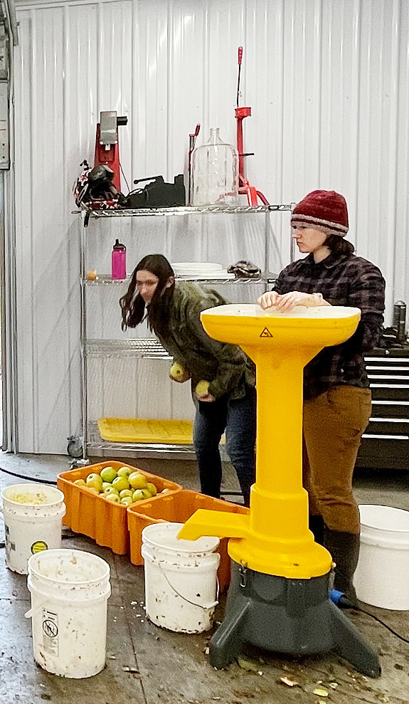 The Romanick twins, Grace and Natalie, are shown putting apples in a grinder to make pomace.