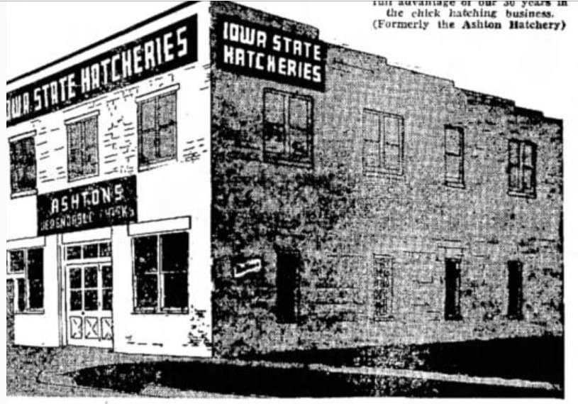 John Ashton, of Muscatine, operated a chicken hatchery at 317 North Spencer Street in the 1940's. He changed the name from Ashton Hatchery to Iowa State Hatcheries producing over 1,000,000 chicks a year.