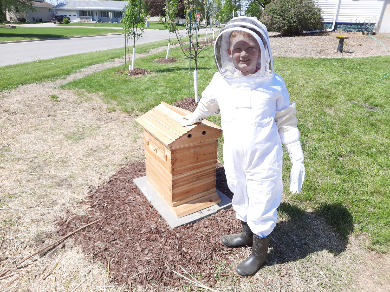 Nine-year-old Alex Harkness with his beehive. Alex is the son of Grant and Katrina Harkness of Wilton.