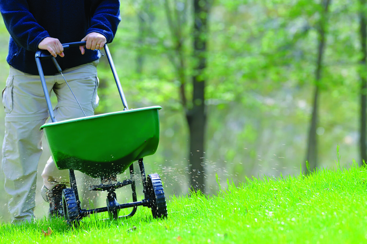 The basics of fertilizing a lawn | North Scott Press