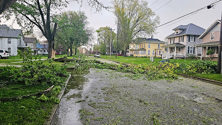 A tree fell during the storm Sunday evening on North Calhoun Street in West Liberty. Once the storm left the area city workers went out to clean up the mess the tree left.