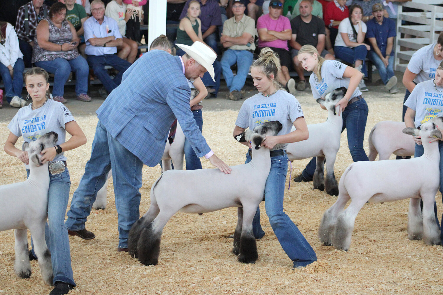 Wilton's Kiley Langley shows State Fair grand champion lamb Wilton