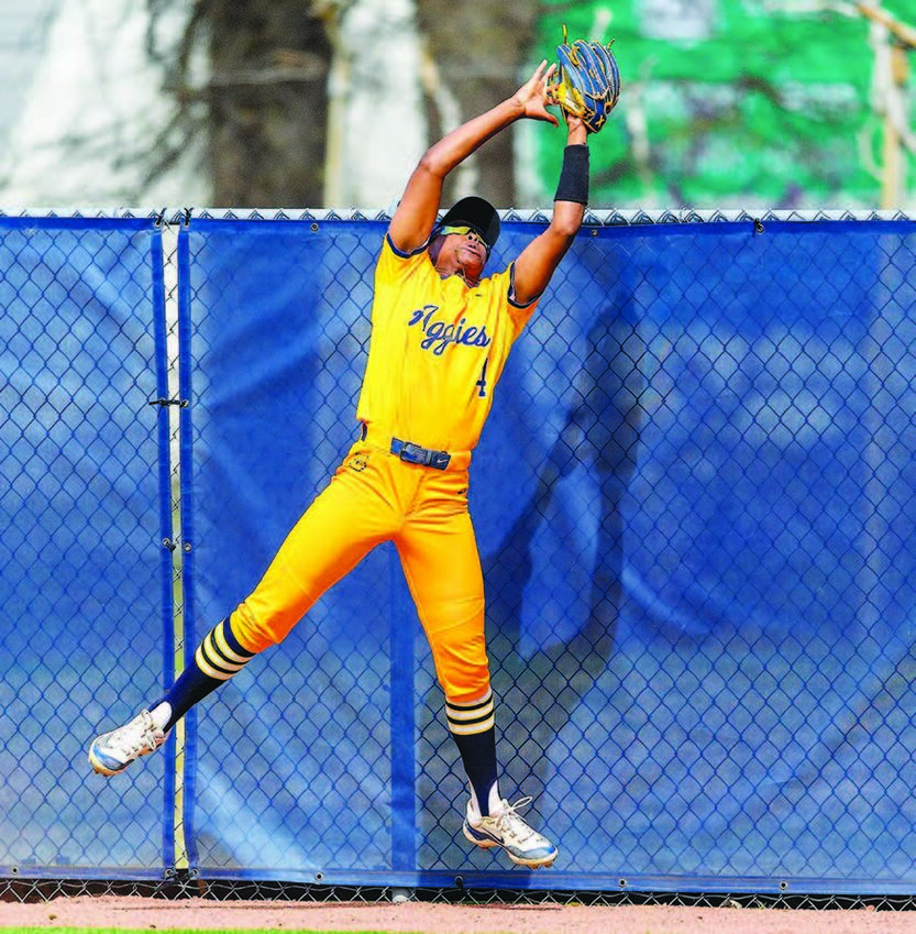 Aggie outfielder Katriel Williams (junior) makes an acrobatic catch at the fence on Saturday, March 29 during a home game against Towson State.