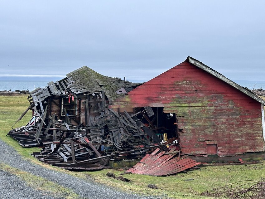 Bad weather and time have conspired against a relic of history as the the old barn on the Julius homestead collapsed during recent high winds.