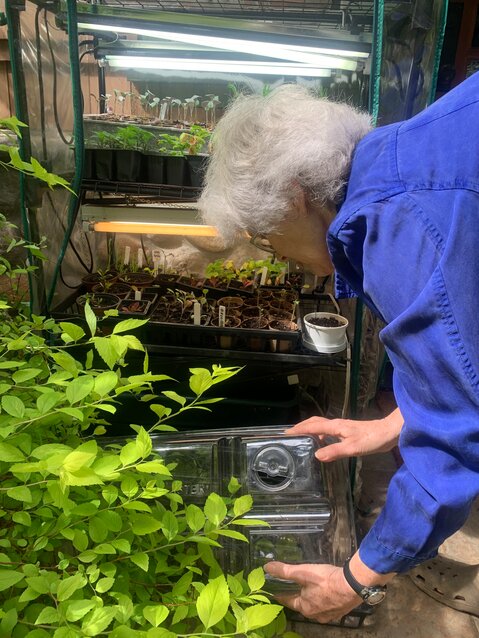 Rhiannon Allen  with seedlings..