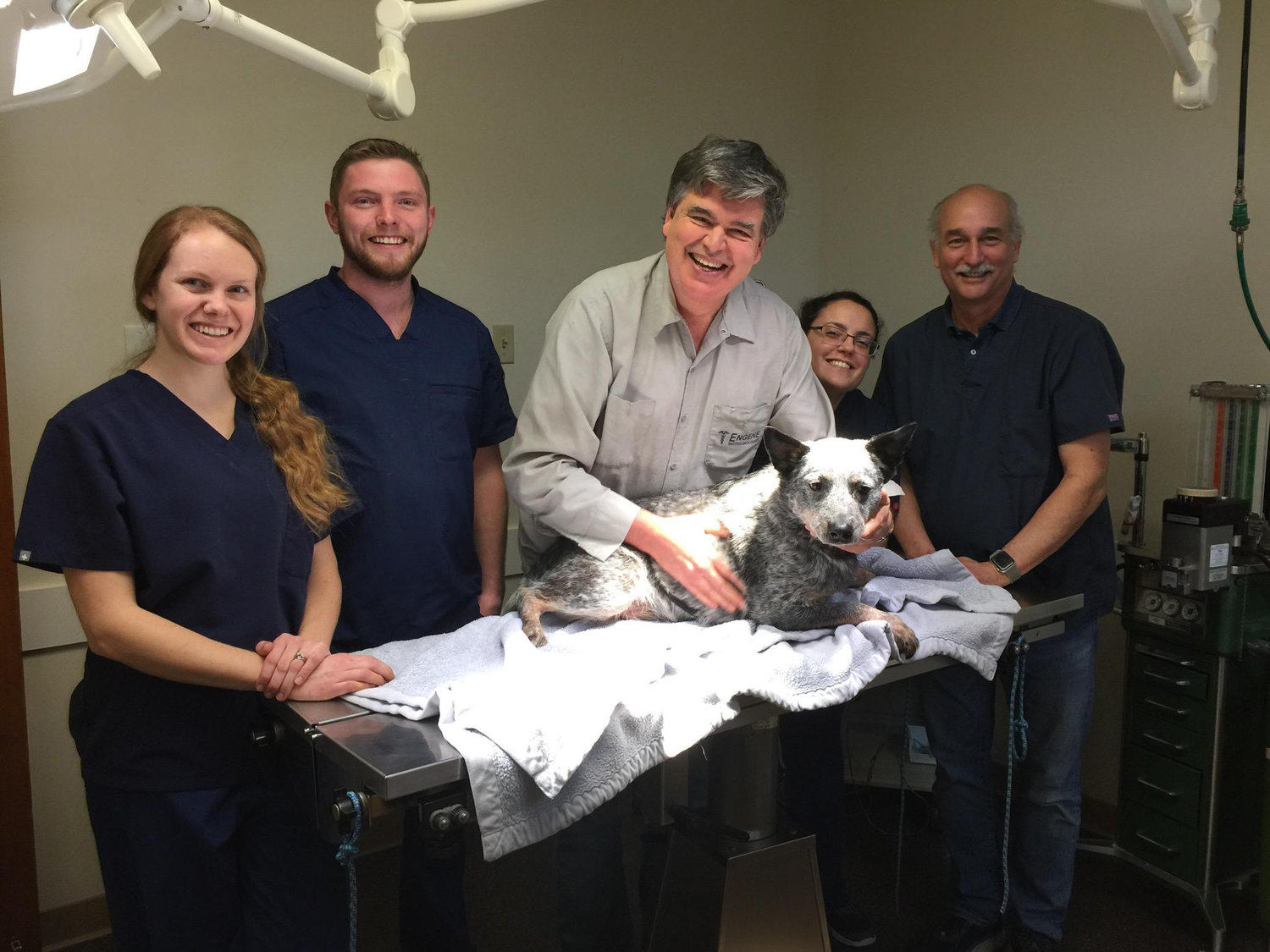 Blaine dog Wiley with his veterinary team at Bellingham Veterinary. From l., Brittany Grant, Sebastian Grant, Dr. Kevin Steele, Sharon Pozzi and Dr. Edmund Sullivan.