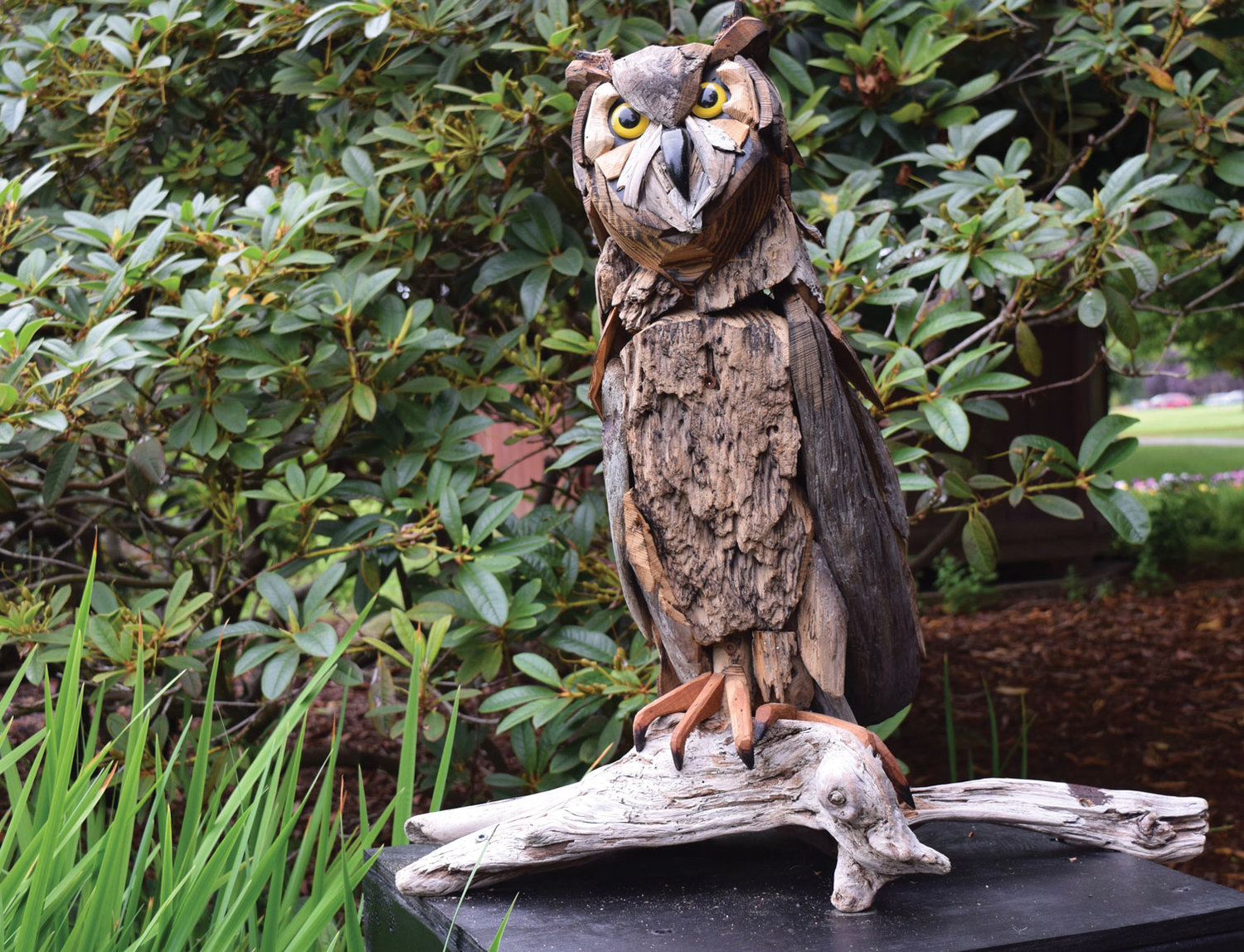 A driftwood sculpture, titled “Owl,” by Joe Treat.