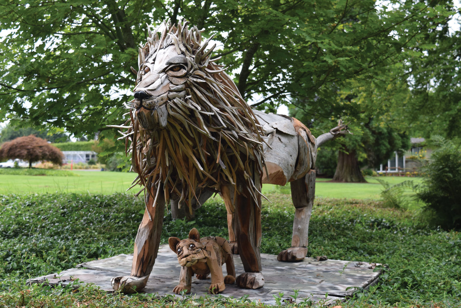 A driftwood sculpture, titled “Lion & Cub,” created by Joe Treat.