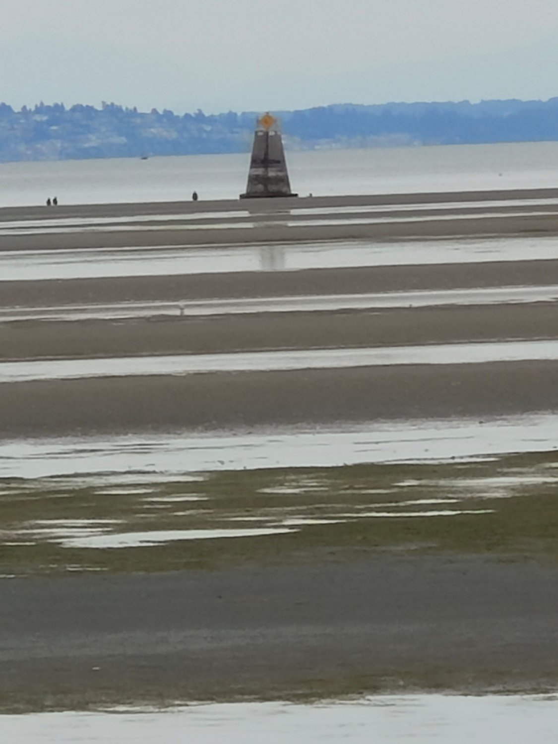 A minus 3.8 tide on Wednesday, June 15 allowed Maple Beach walkers to get up close and personal with the border marker.