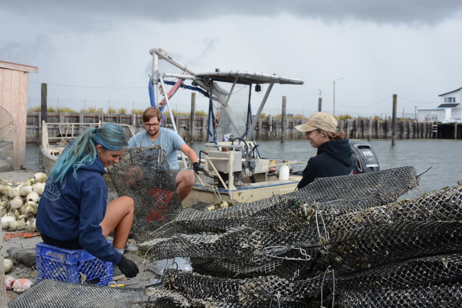 Drayton Harbor Oyster Company employees work at the end of Jorgensen Pier on August 4. The Blaine business, which grows oysters and operates a tide-to-table restaurant, is seeking to add an off-bottom oyster farm in Drayton Harbor.