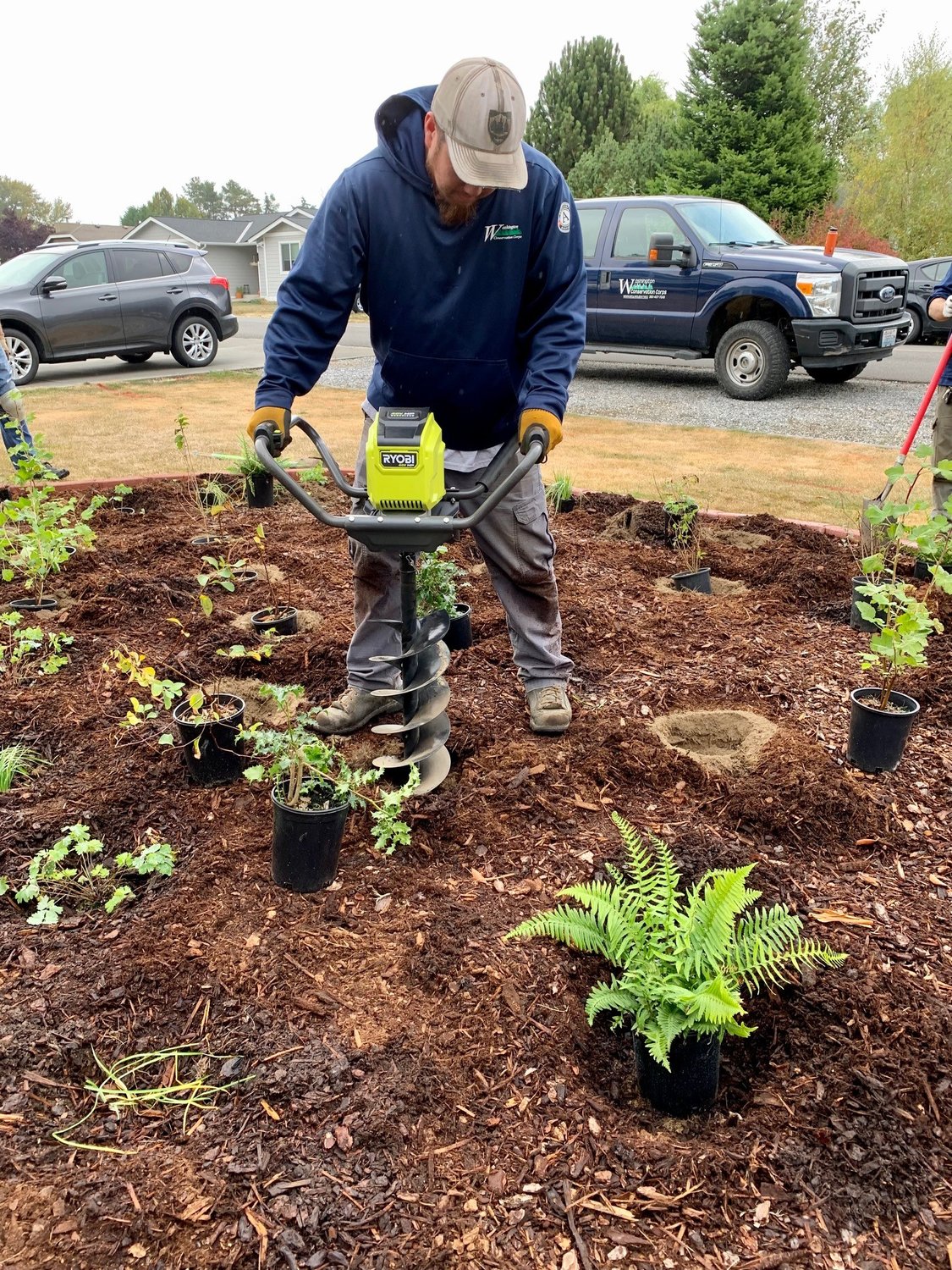 Five Birch Bay households participated in the pilot native landscaping program’s planting party on October 22.