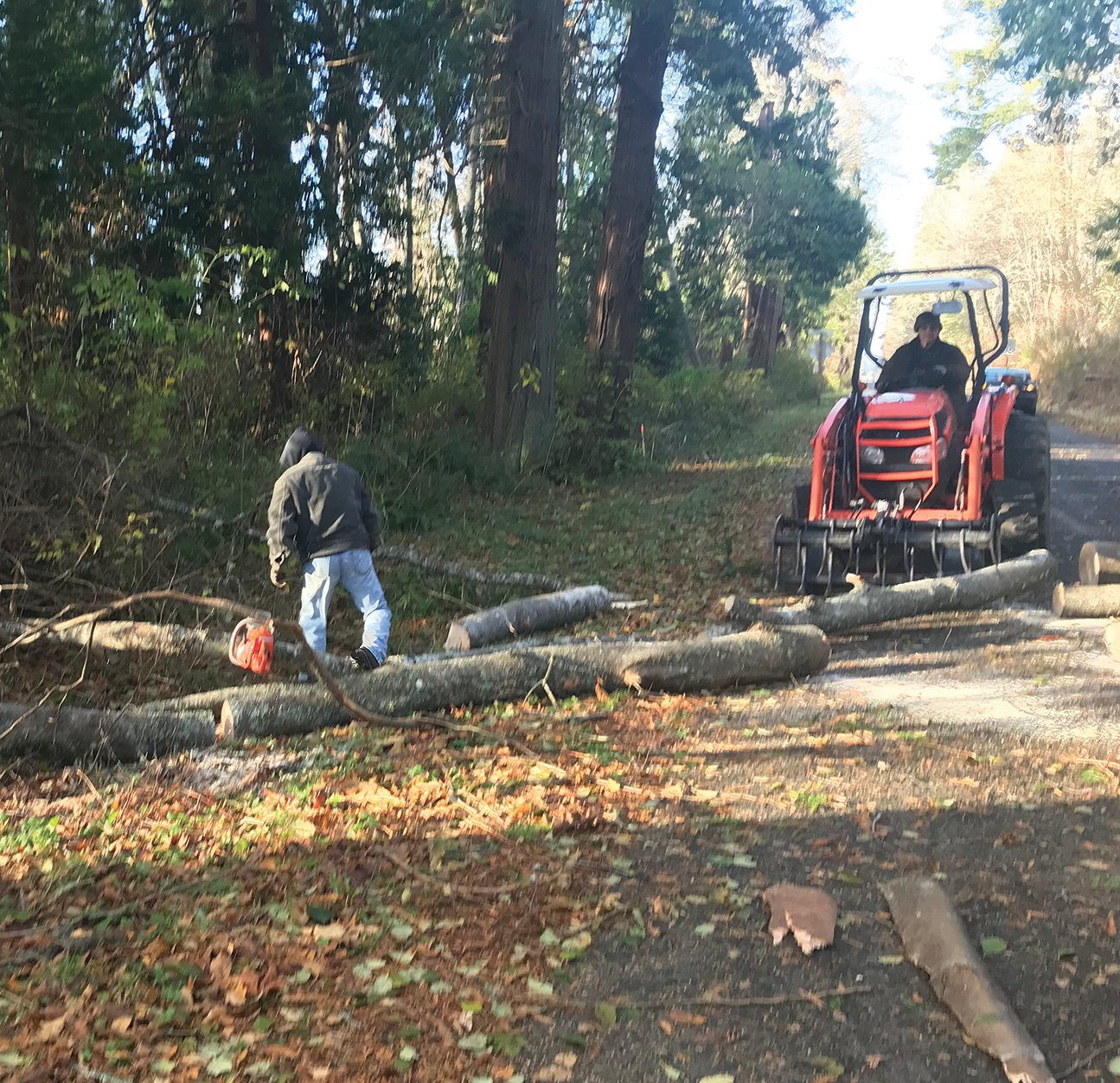 After winds blew down a tree across APA Road, local residents showed up with tools and machinery to re-open the road. Chamber president Brian Calder has been asking the county to create a small works roster to provide fast and cost-effective local response.