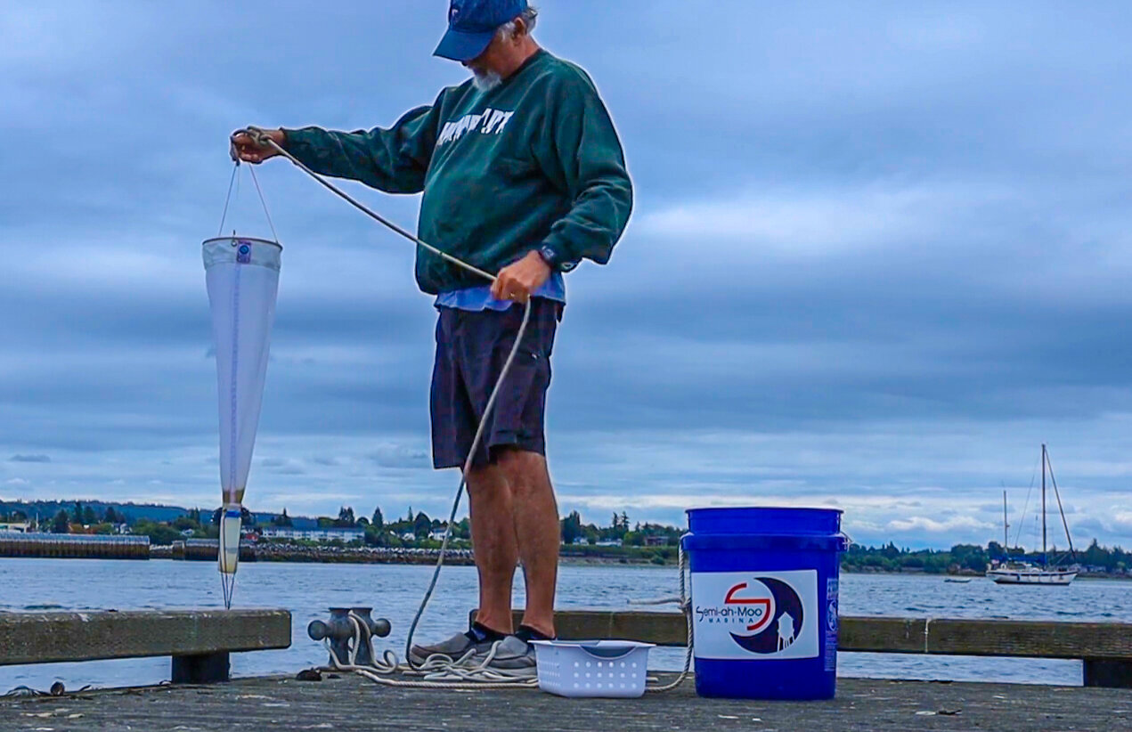 Drayton Harbor Harmful Algal Bloom Hunters member Rick Beauregard collects samples with a plankton net at Plover Dock.