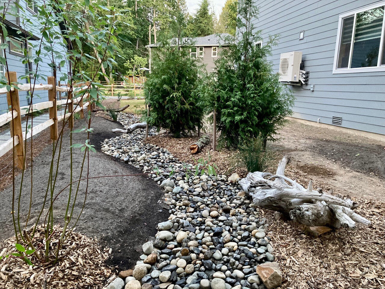 Danette Morse planted native landscaping throughout her Semiahmoo yard.