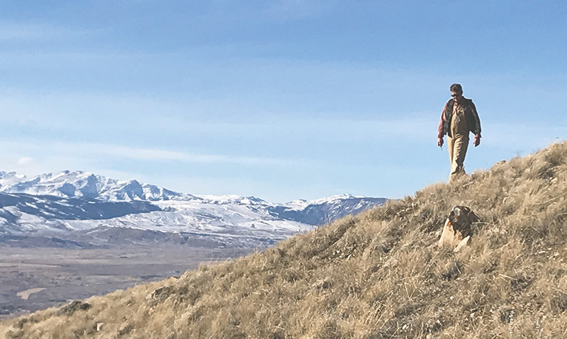 Dave Wildman, the chief field appraiser for the Park County Assessor&rsquo;s Office, inspects a cellphone tower in the McCullough Peaks in January 2019. County commissioners recently blocked the assessor&rsquo;s office from filling a vacant position for at least 90 days. Assessor Pat Meyer says that reducing his staff could reduce the amount of field work his office is able to complete.