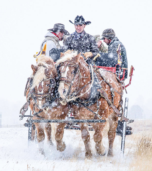 Clinton Sowards handles Pistol and Pete, the draft horse team of the College of Agriculture and Natural Resources, during the 2019 UW-Colorado State University Bronze Boot exchange on the state border. Handlers Travis Smith and Elias Hutchinson are in the wagon. The photograph earned two gold awards from the Association for Communication Excellence (ACE).