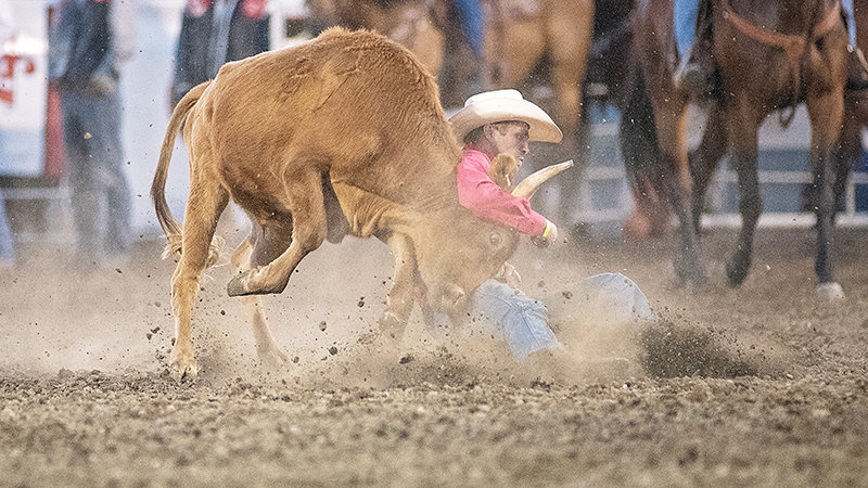 Trapper steer wrestler Paden Woolstenhulme gets a quick head catch on his steer Saturday night at Cody Stampede Park. Woolstenhulme&rsquo;s time of 8.2 seconds was good for sixth place on the second day of the Trapper Stampede Rodeo.