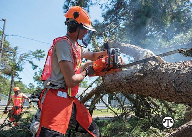 A chainsaw can help protect your home and family from falling tree limbs before a storm and clean them up after one.